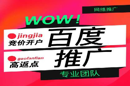 社交媒体平台信息流广告的精准投放案例